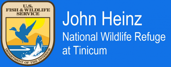 John Heinz National Wildlife Refuge at Tinicum is one of the 23 centers in the Alliance for Watershed Education.