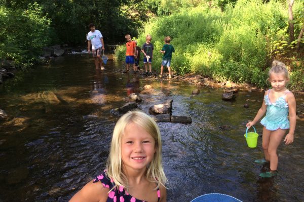 Young children gather water samples in Angelica Creek at Berks Nature.