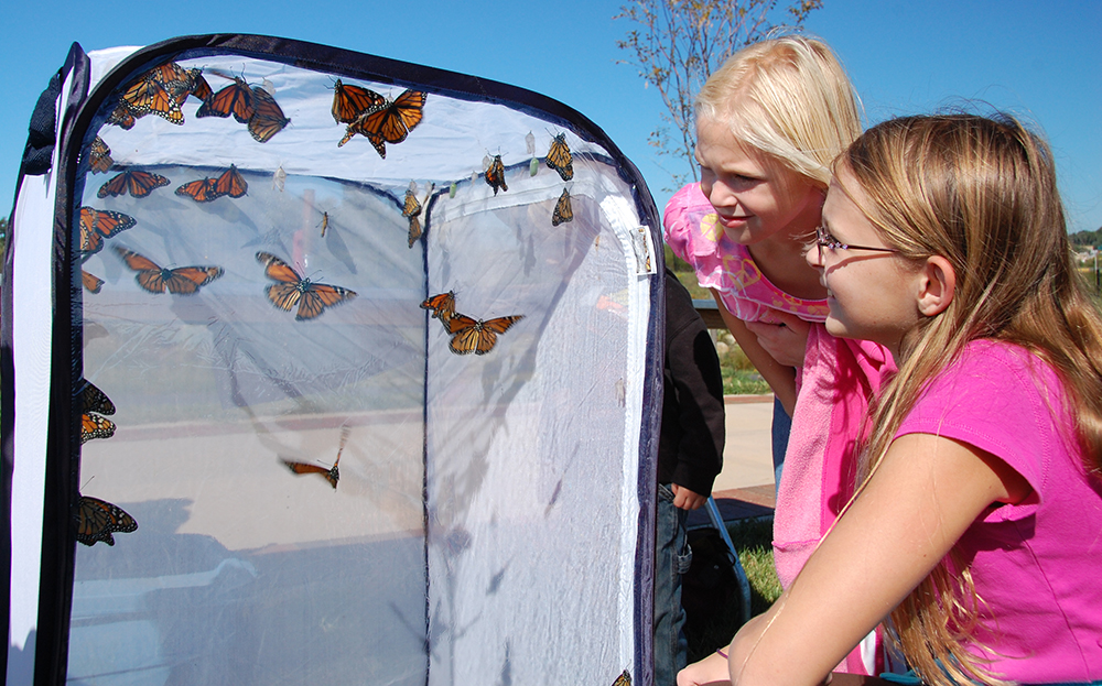 Young children view a mesh enclosure full of monarch butterflies.