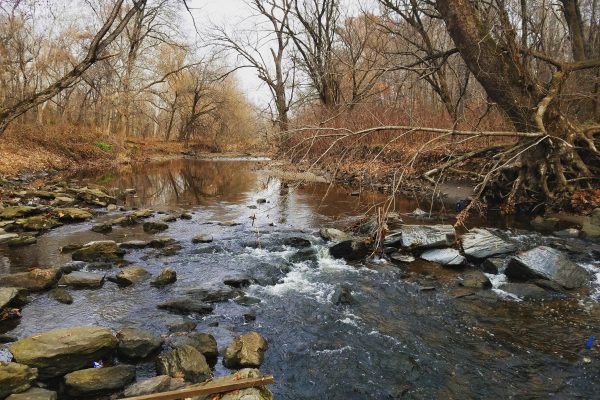 Tacony Creek rushes over small rocks in Tacony Creek Park, Philadelphia.