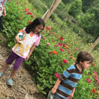Garden at Berks Nature Place