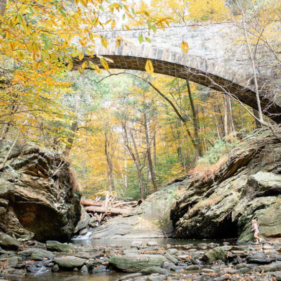 Fall bridge across creek