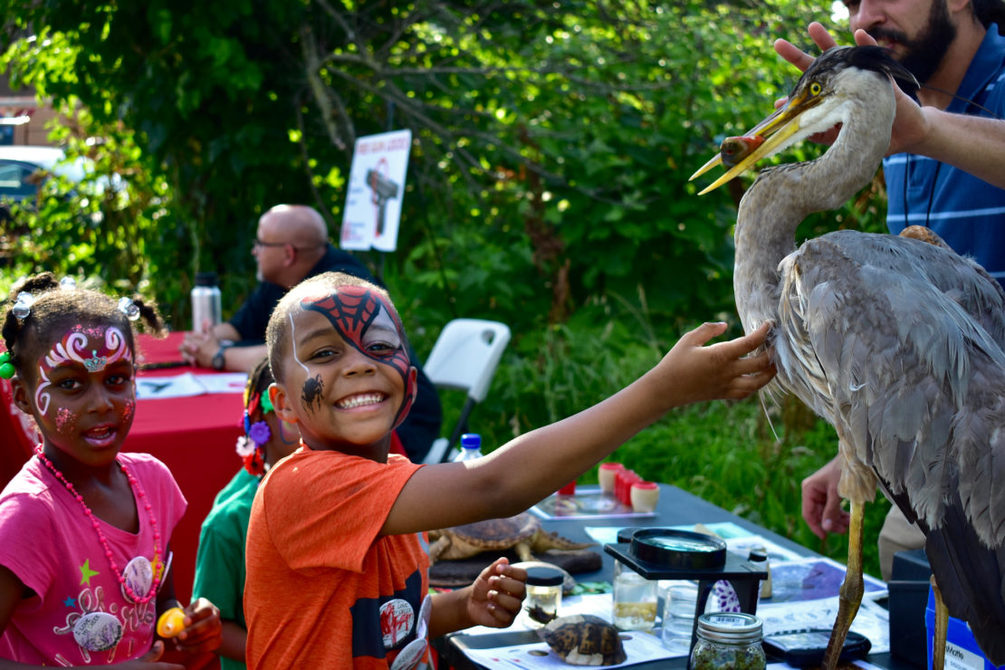 a group of children with painted faces interact with a great blue heron at a naturalist table in Tacony Creek Park